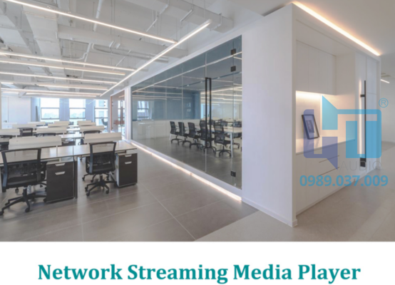 network streaming media player dsp9142 DSP9144