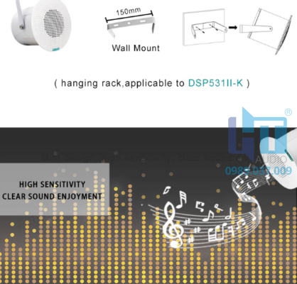 DSP531II 3