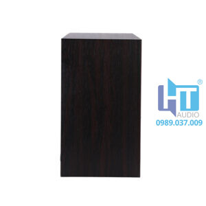 DSP406II Loa hộp treo tường 10W 3 dsp406 wall 3