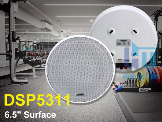 dsp5311 1