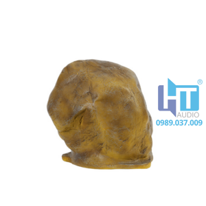 dsp645 1 2 huong